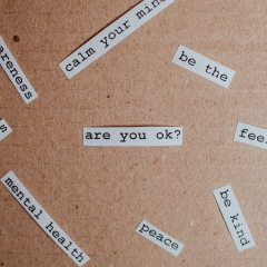 Mental health text
