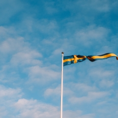 Eurodoc publishes a statement on the Swedish Government's decision to cut the funding of development research