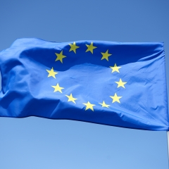 European union flag